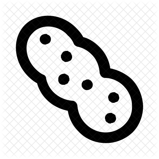 512x512 Peanut Icon Of Line Style