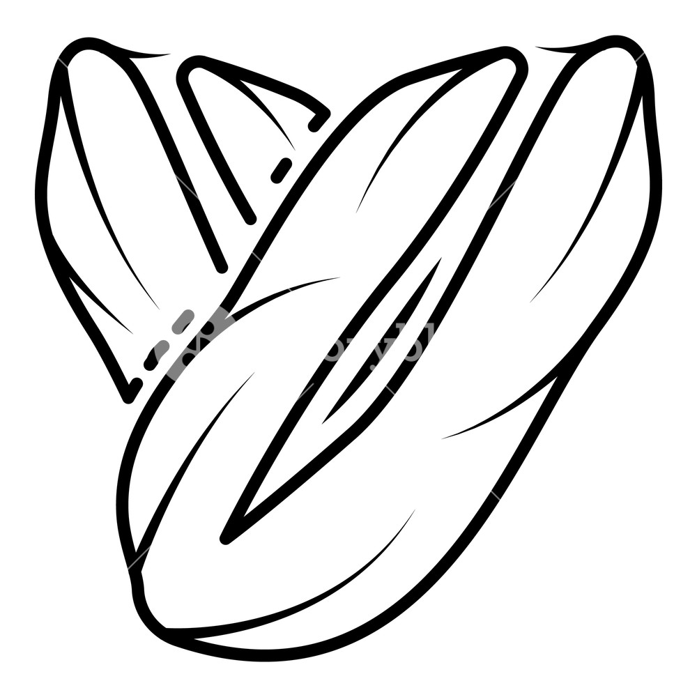 1000x1000 Eco Peanut Icon Outline Eco Peanut Vector Icon For Web Design