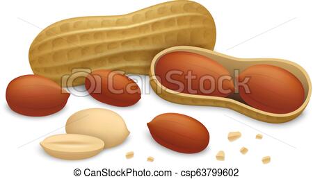 450x258 Peanut Icon Set, Realistic Style Peanut Icon Set Realistic Set
