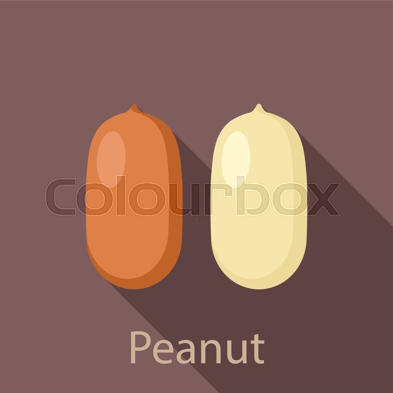 800x800 Peanut Icon Flat Illustration Of Stock Vector Colourbox