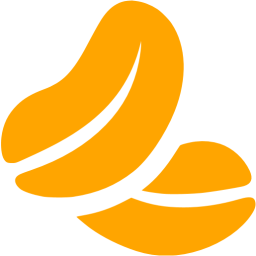 256x256 Orange Peanuts Icon