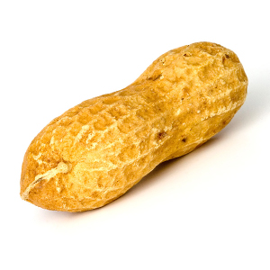 300x300 Peanut Allergy Center For Young Women's Health