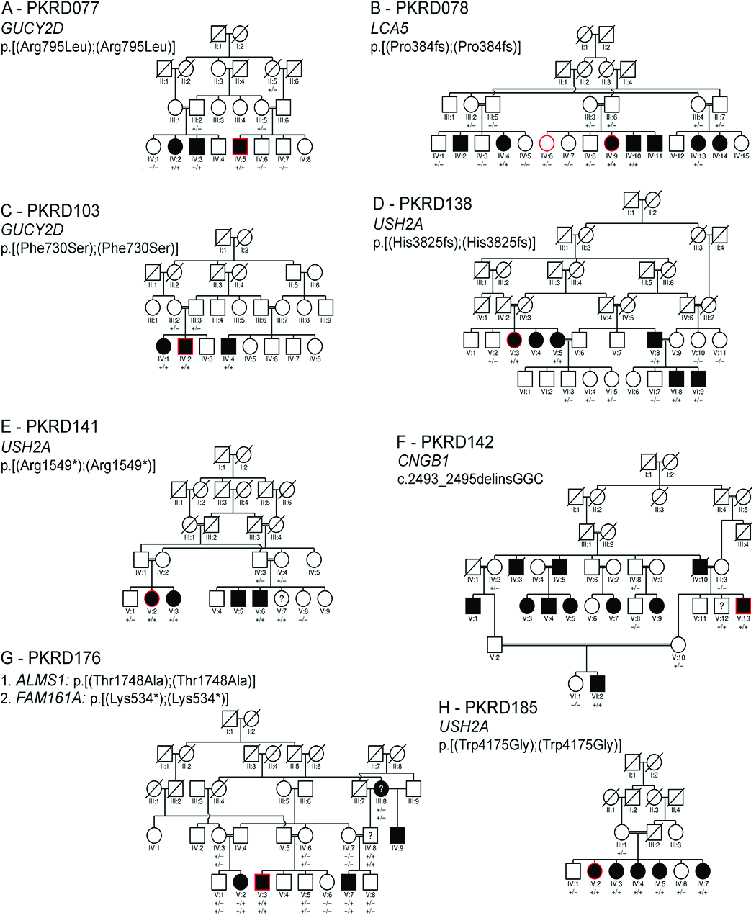 753x914 Members Of The Pedigree Enrolled In This Study Are Indicated