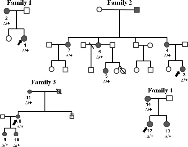 600x470 Pedigree Of The Four Families Black Icon Clinically Affected