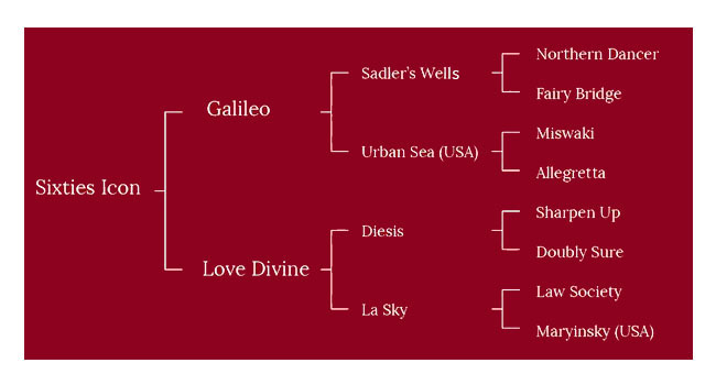 650x350 Sixties Icon Norman Court Stud