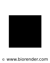 200x253 Biorender People Icon