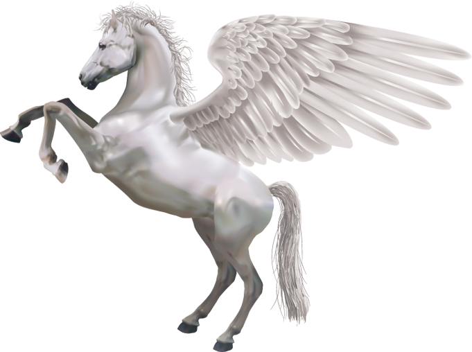 gray pegasus