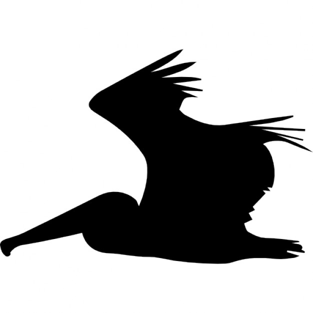 626x626 Pelican Icon