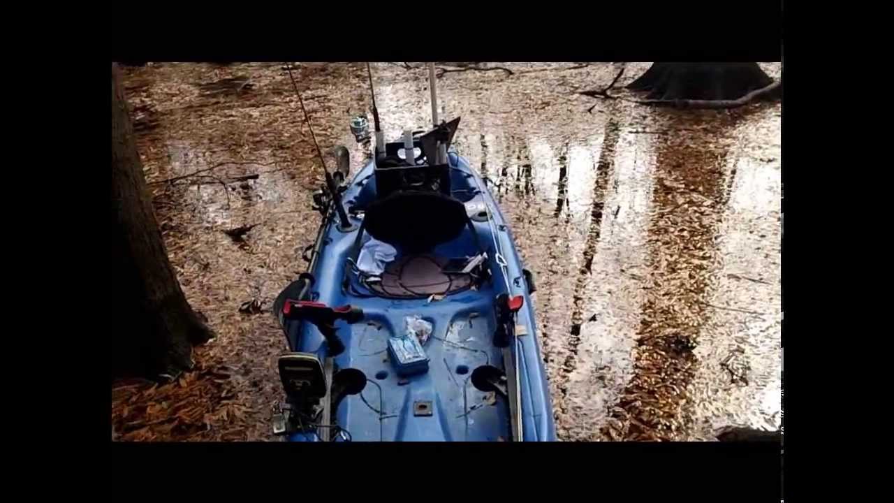 1280x720 Pelican Icon Review