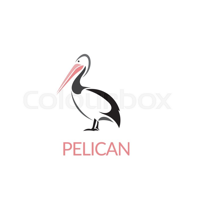 800x800 Artistic Stylized Pelican Icon Stock Vector Colourbox