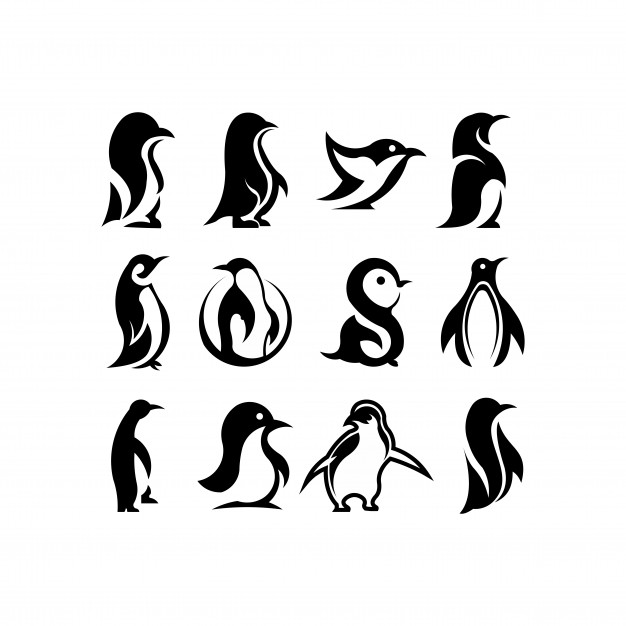 Pengun Vector Premium Download 626x626 Pengun Vector Premium Download
