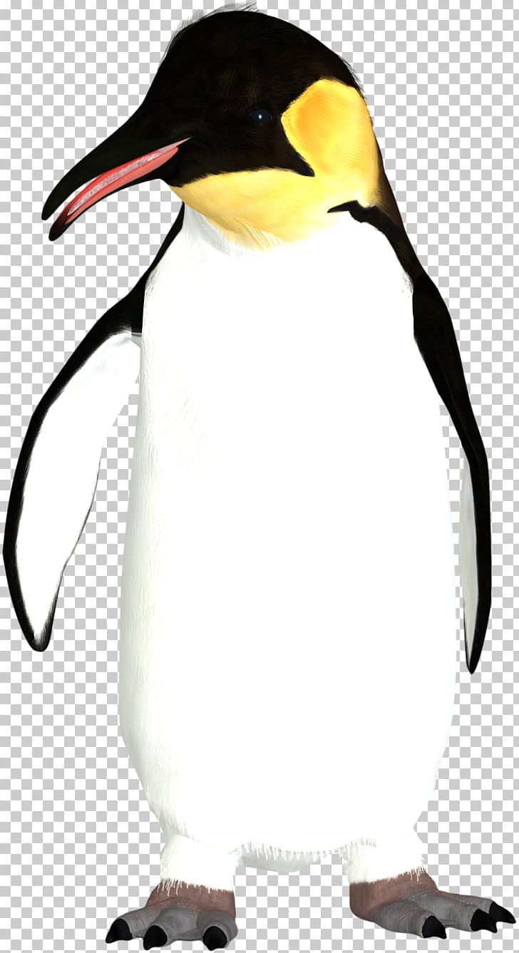 King Pengun Png, Clipart, Animal, Animals, Beak, Bird 728x1337 King Pengun Png, Clipart, Animal, Animals, Beak, Bird