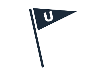 366x262 Pennant Icon King