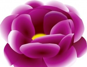 300x233 Peony Icons Free Icon Packs Ui Download