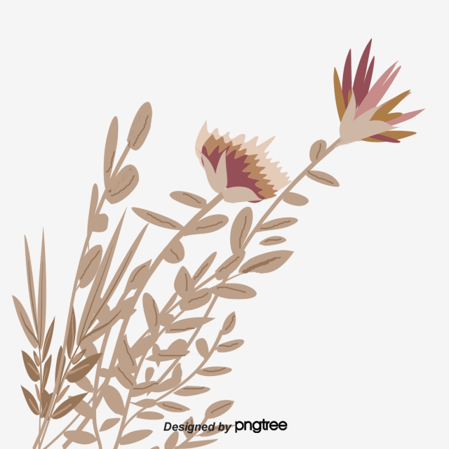 640x640 Cartoon Floral Image Retro Picture Material A Peony, Cartoon