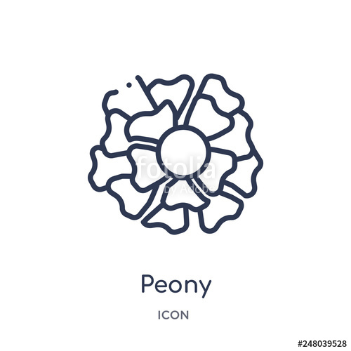 Peony Icon at Vectorified.com | Collection of Peony Icon free for