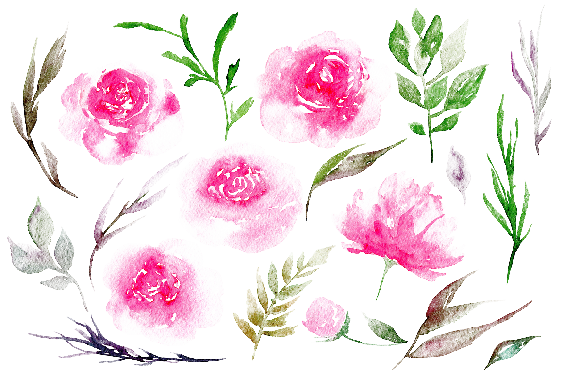 1160x772 Download Free Peony Image Icon Favicon Freepngimg