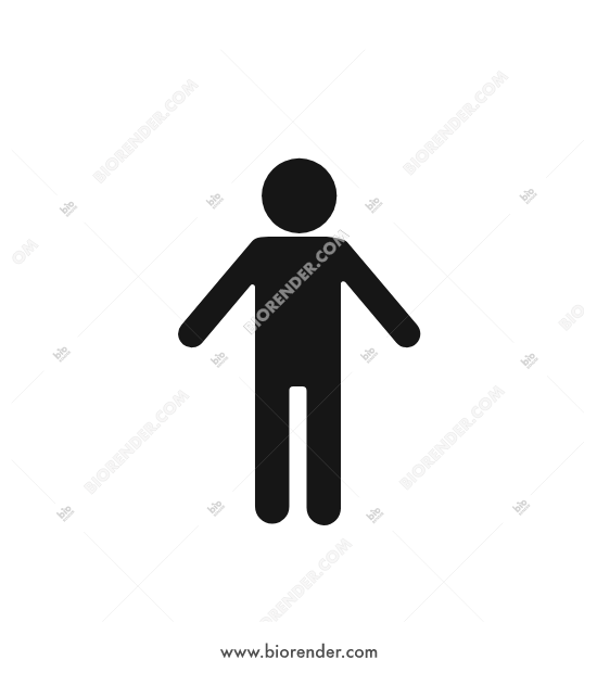 550x620 Biorender People Icon