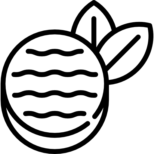 512x512 Peppermint Candy Icons Free Download