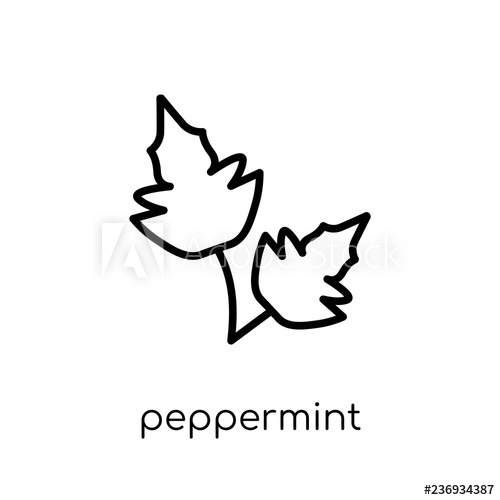 500x500 Peppermint Icon Trendy Modern Flat Linear Vector Peppermint Icon