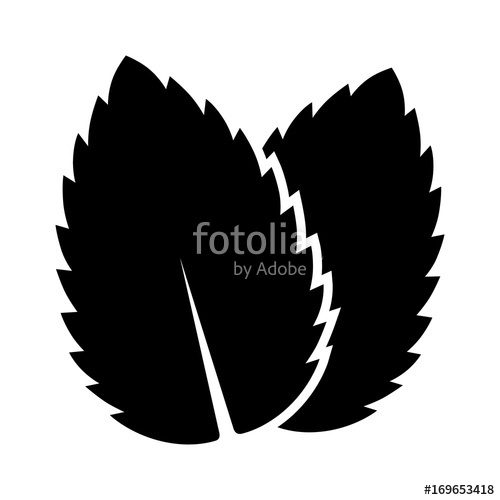 500x500 Two Peppermint Spearmint Mint Or Mentha Leaves Flat Vector Icon