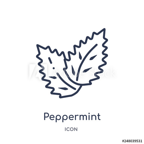 500x500 Peppermint Icon From Nature Outline Collection Thin Line