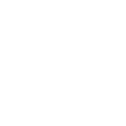 256x256 White Percentage Icon
