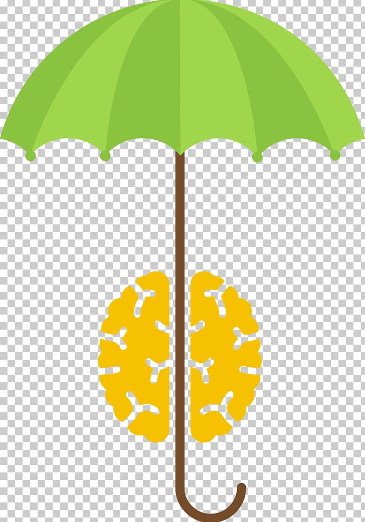 728x1042 Brain Euclidean Human Body Visual Perception Icon Png, Clipart