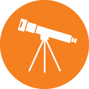 300x300 Perspective Icon