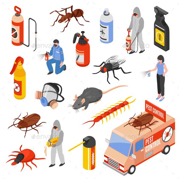 590x590 Pest Control Service Workers Isometric Icons Set Isolated