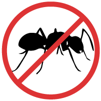 200x200 Southwest Florida Pantry Pest Control