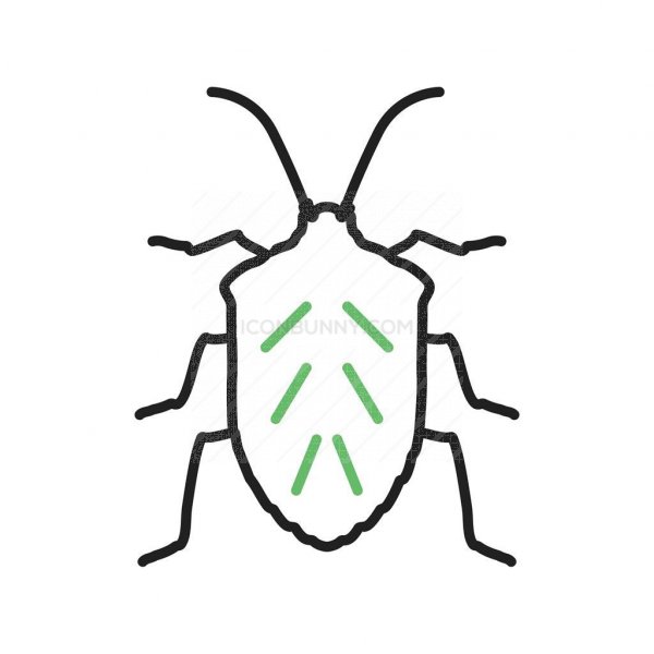 600x600 Insect Line Green Black Icon
