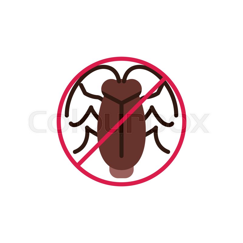 800x800 Stop Cockroach Insect Flat Icon, Stock Vector Colourbox