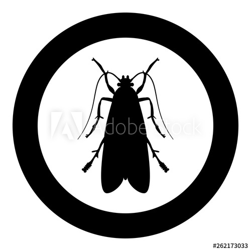 500x500 Clothes Moth Clothing Moth Fly Insect Pest Icon In Circle Round