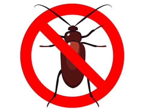 480x360 Top Best Electronic Pest Repeller Control Devices