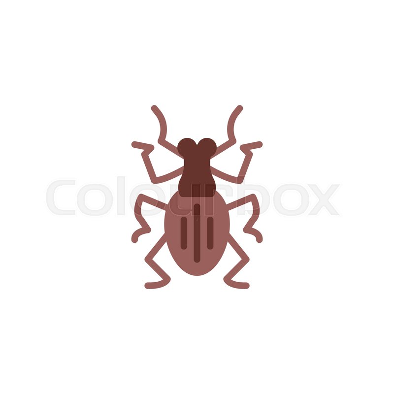 800x800 Weevil Insect Flat Icon, Vector Sign, Stock Vector Colourbox