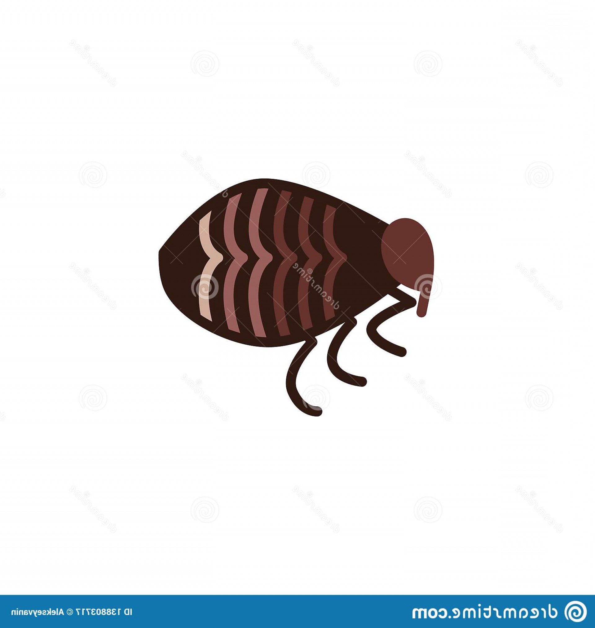 1920x2026 Flea Insect Flat Icon Vector Sign Colorful Pictogram Isolated