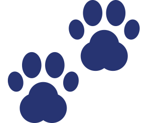 300x250 Pet Friendly Apartments In Albany, Schenectady, Saratoga Springs