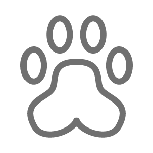 300x300 Tag Information