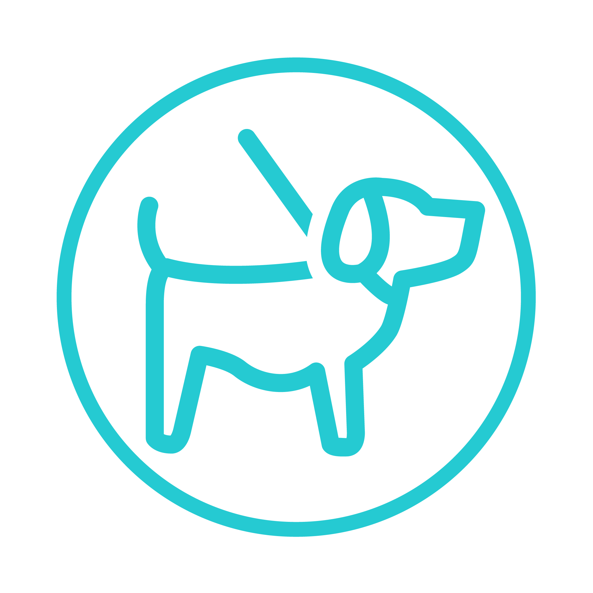 Pet Friendly Icon at Vectorified.com | Collection of Pet Friendly Icon ...