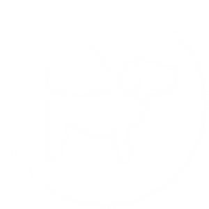 300x300 Pet Friendly Icon