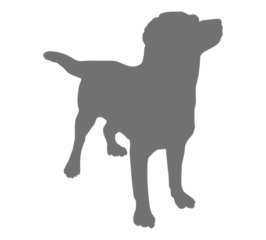 920x830 Grey Dog Icon