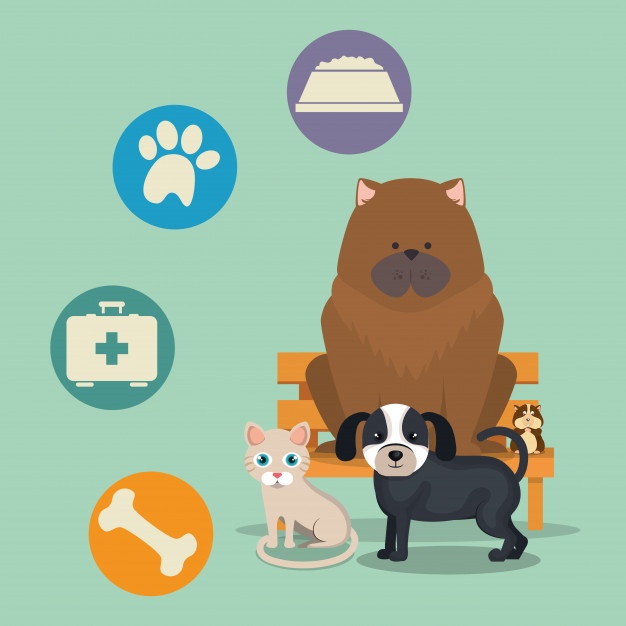 626x626 Pet Icon Vectors, Photos And Free Download
