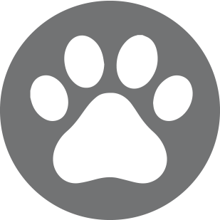 309x309 Pet Icon
