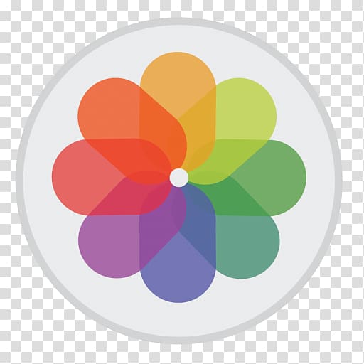Petal Icon at Vectorified.com | Collection of Petal Icon free for ...
