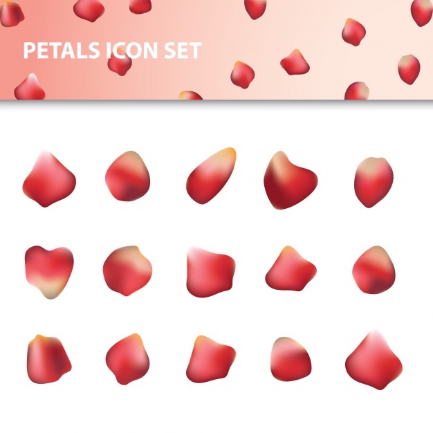 626x626 Red Petal Icon Set Vector Free Download