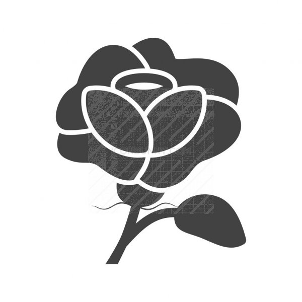 600x600 Rose Glyph Icon