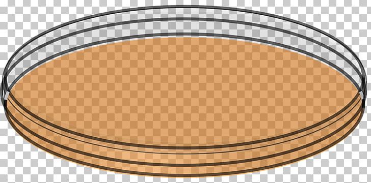 728x360 Petri Dishes Graphics Laboratory Png, Clipart, Biology, Cell