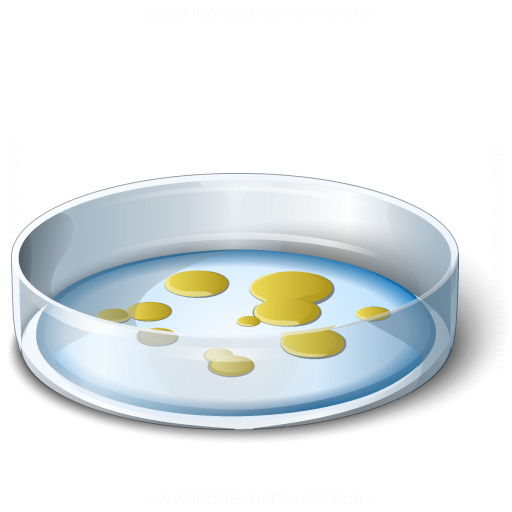 512x512 Iconexperience V Collection Petri Dish Icon