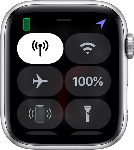 450x502 Status Icons And Symbols On Apple Watch